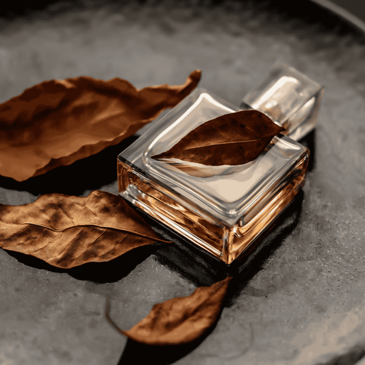 Warm Up Your Winter: The Best Fragrances for the Cold Season